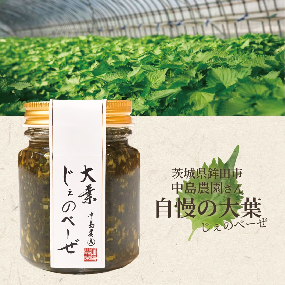 ��븩�� ���դ����Τ١��� 100g