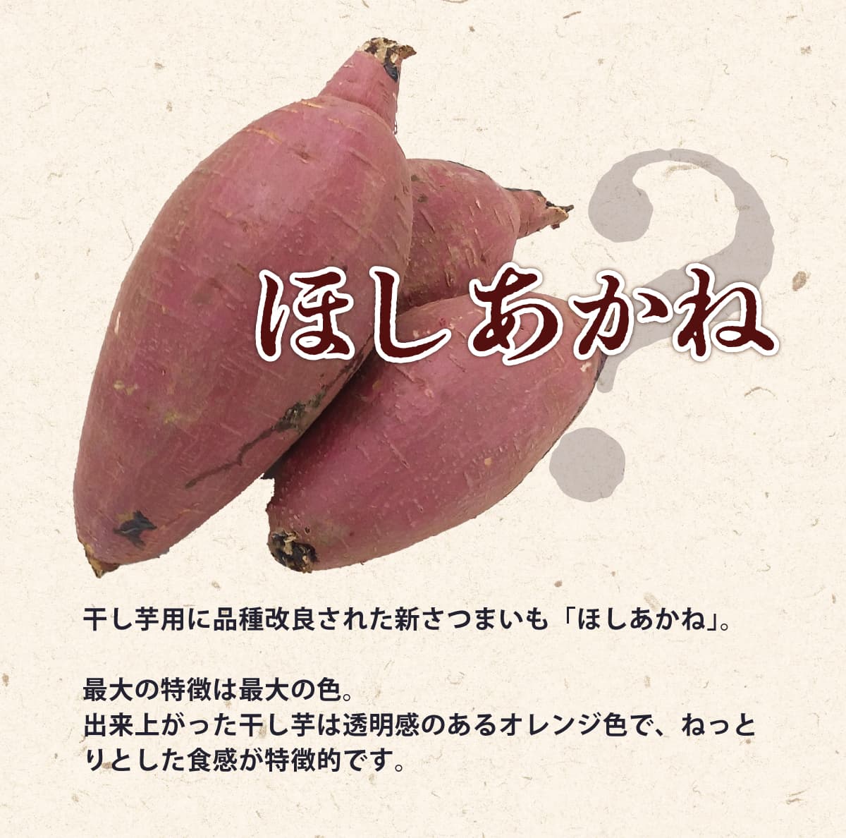 訳あり】茨城県産 干し芋 ほしあかね シロタ 切甲 500g×2袋セット