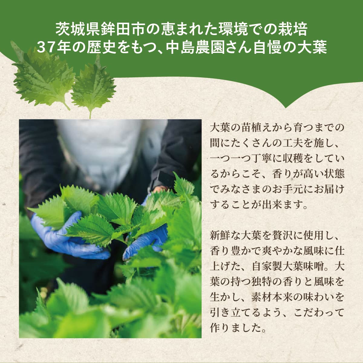 ��븩�� ����̣�� 100g