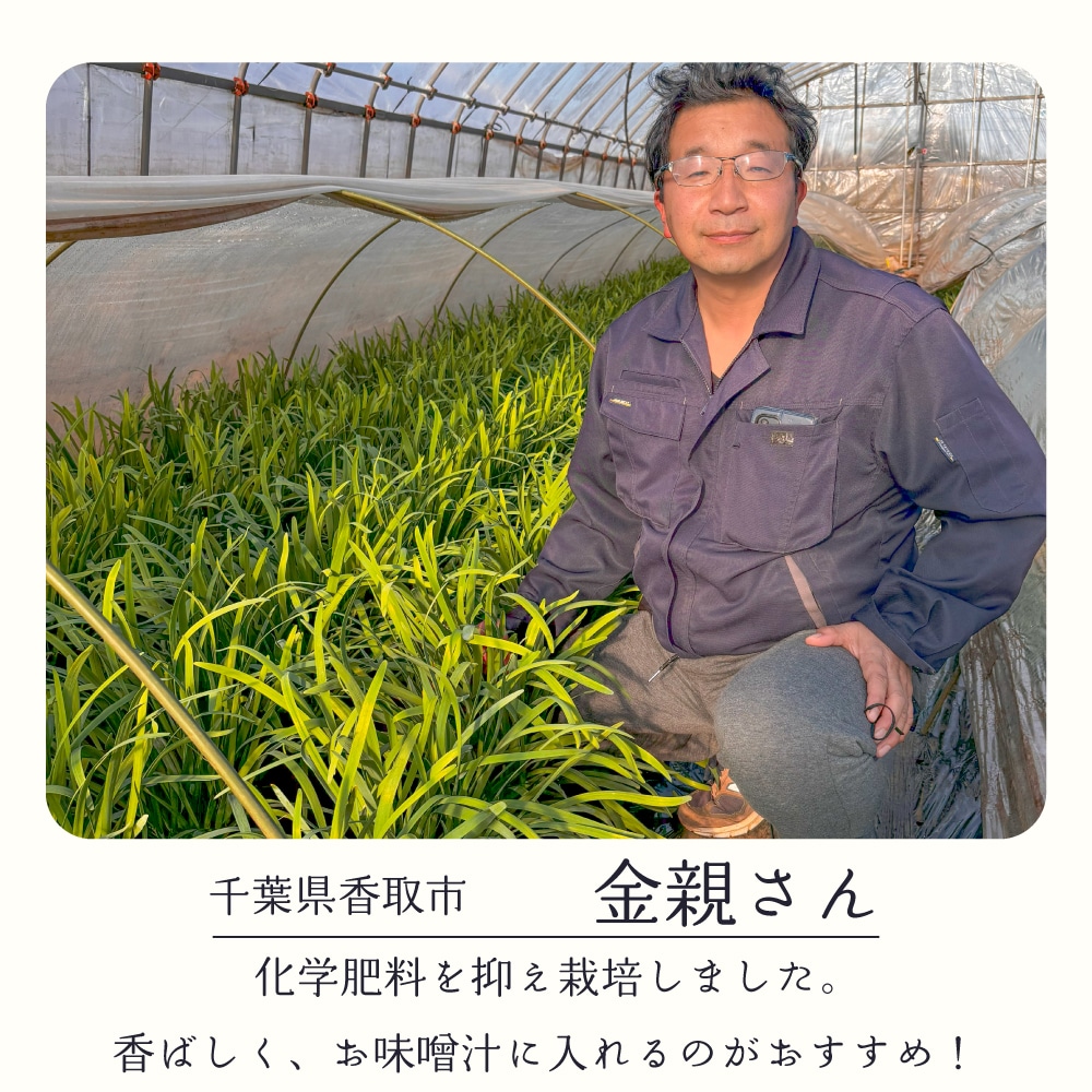 ���ո������ˤ�