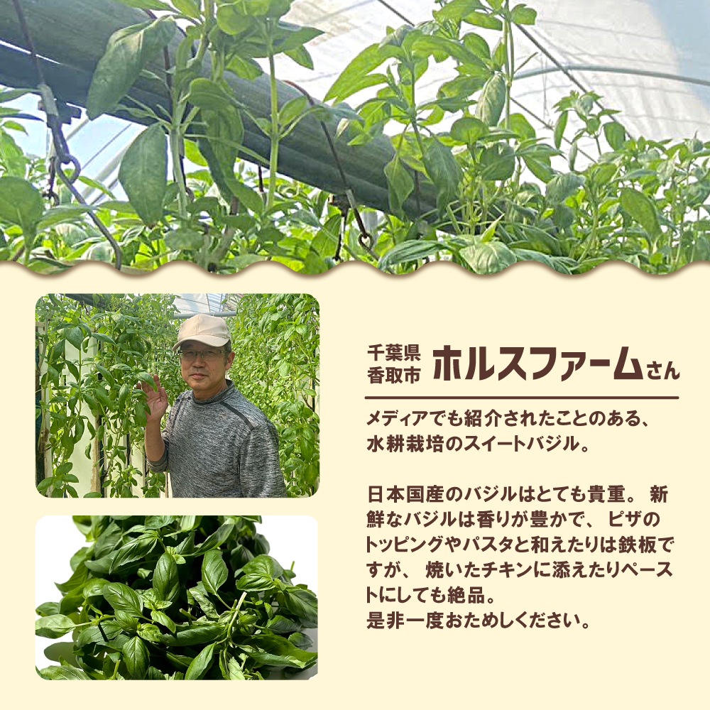 千葉県産 スイートバジル 500g | すべての商品 | 芋屋久兵衛