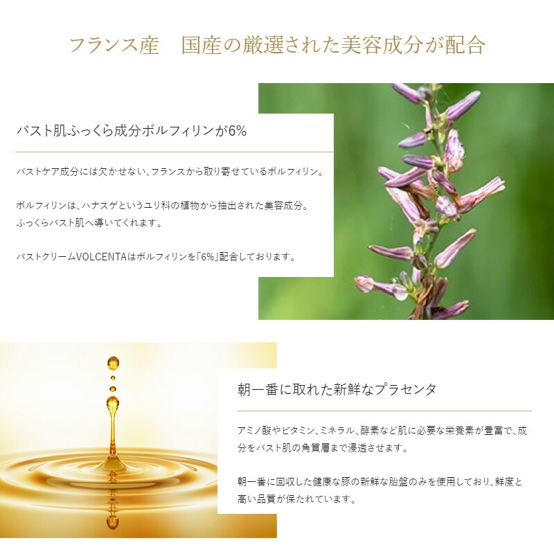 バストクリーム VOLCENTA (ボルセンタ)