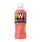 サントリー ＤＡ・ＫＡ・ＲＡ Ｗビタミン 500ml ペットボトル 48本 24本×2ケース ダカラ ダブルビタミン PET suntory (送料無料) （サントリー以外の商品と同梱不可）|ソフトド