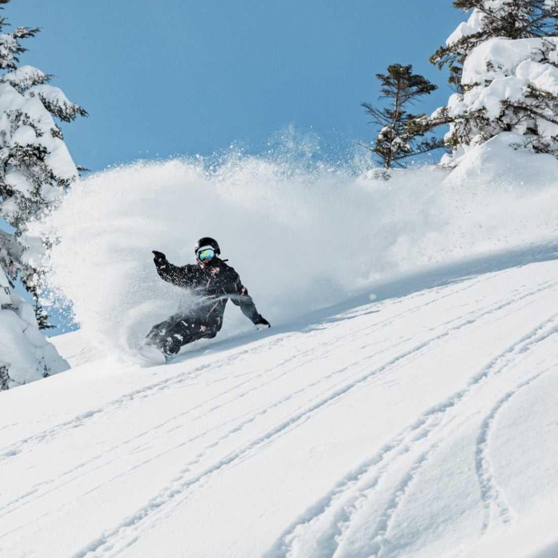 奥志賀高原スキー場 早割リフト1日券＜全日＞ | SURF＆SNOW |