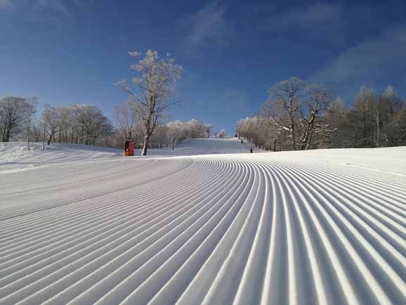 めいほうスキー場 早割リフト1日券＜全日＞ | SURF＆SNOW |