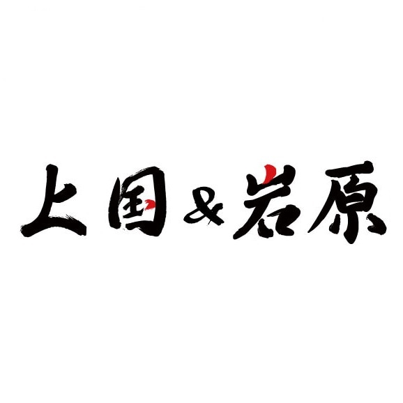 上国＆岩原　リフト1日ご招待券　ナイター付き　2枚 上国&岩原スキー場ナイター付きリフト1日ご招待券2枚