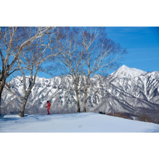 戸隠スキー場 早割リフト1日券 <小人> | SURF&SNOW | 戸隠スキー場 早割リフト1日券 <小人> | SURF&SNOW |