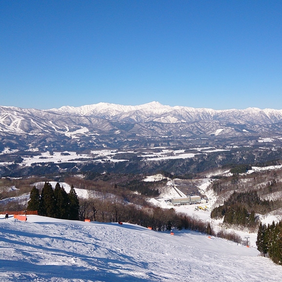 ホワイトピアたかす 大人リフト1日券＜全日＞ | SURF＆SNOW |