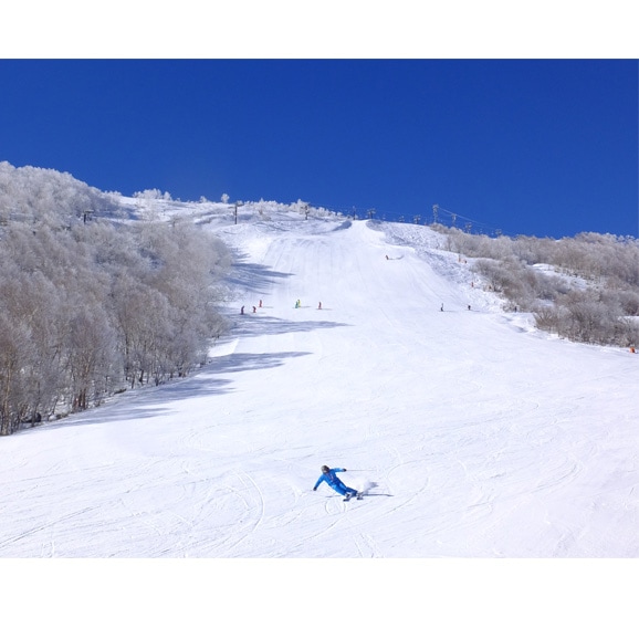 車山高原スキー場 リフト券 2日券 大人1枚 車山高原スキー場 リフト券 (2枚セット) 車山高原 SKYPARK RESORT申込
