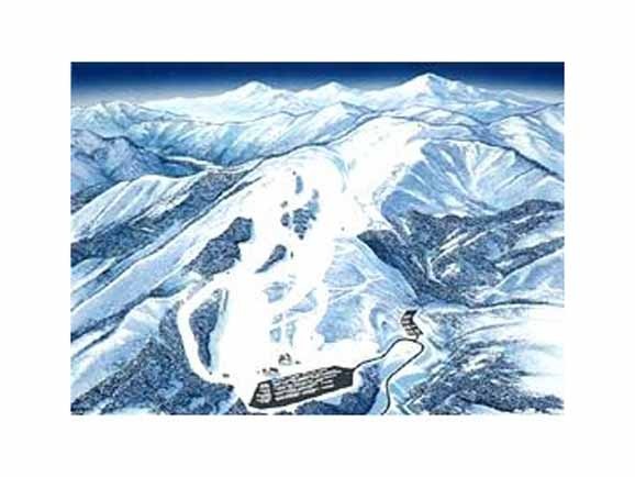 福井和泉スキー場 リフト1日券＜全日┃大人＞ | SURF＆SNOW |