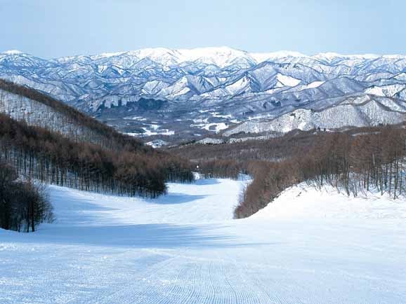 たかつえ早割 スマリフ】会津高原たかつえスキー場 早割リフト1日券＜全日