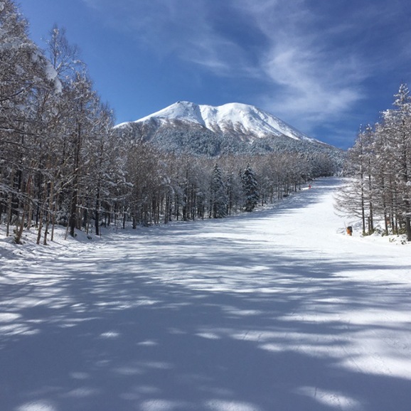 信州開田高原マイアスキー場 早割リフト1日券＜大人＞ | SURF＆SNOW |