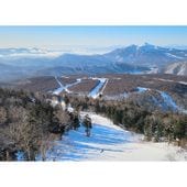 グランデコ　スノーリゾート　リフト1日券　2枚 グランデコスノーリゾート 早割リフト1日券＜大人＞ | SURF＆SNOW | 早