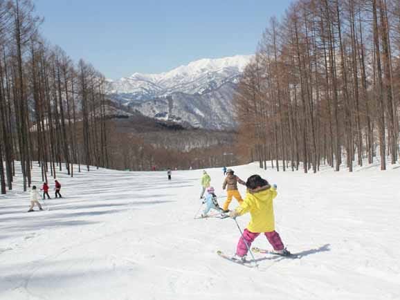 スマリフ】水上高原スキーリゾート 早割リフト1日券＜小学生