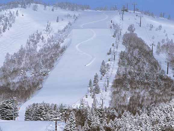 スマリフ】志賀高原 焼額山スキー場 焼額山エリア 前売リフト1日券