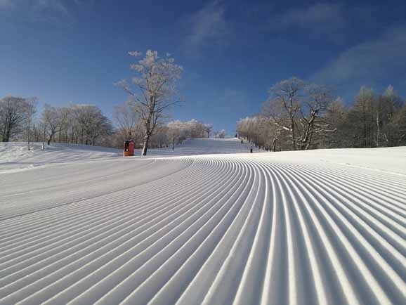 めいほうスキー場 超早割リフト1日券＜全日＞ | SURF＆SNOW |