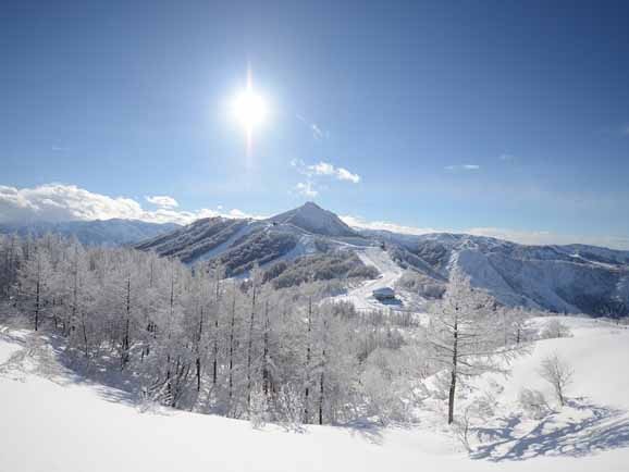 �ڥ��ޥ�ա���ҥ��Ρ��꥾���ȡ�1day�ѥ�������������