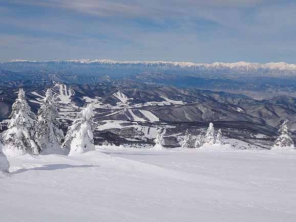 �ڥ��ޥ�աۿ�ʿ�⸶���Ρ��꥾���ȡ����ܥ�����Ϻ���ꥢ��1��������������͡�