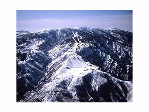 �ڥ��ޥ�ա�ŷ����⸶�����ѥ��ݡ���1������������