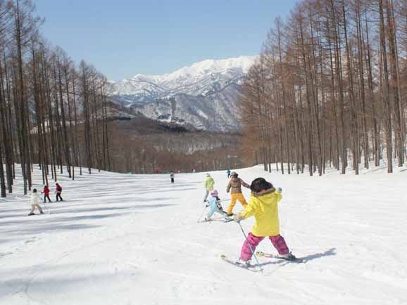 �ڥ��ޥ�աۿ��⸶�������꥾���ȡ�����ե�1��������͡����˥����������