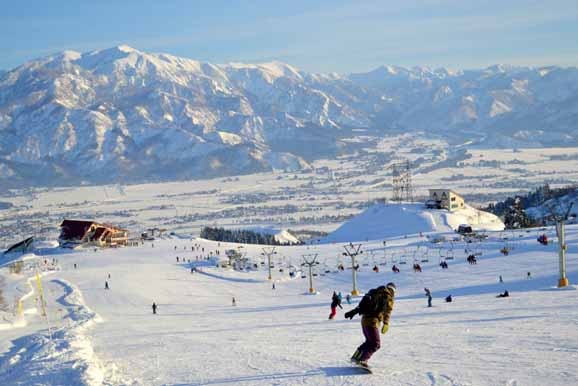 �ڥ��ޥ�աۥ।�����Ρ��꥾���ȡ�����ե�1��������������͡�