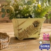 ���Υ梁���ƫ������� ���� �ͳѷ� �⤵16cm�ä������ʥ���ƥꥢ��͢�����ߥ����ڸ������Ρ�