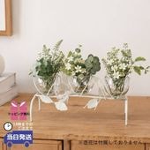 ���������3���饹�ե��١��� ���� �ۥ磻�ȡä������ʥ���ƥꥢ��͢�����ߥ����ڸ������Ρ�