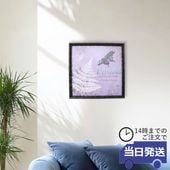 ȥѥͥ ѡץ 44cm߹⤵44cmäʥƥꥢ͢ߥڸΡ