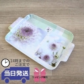 ȯ եȥåԥ̵ۥȥ졼   饤ȥѡץ 