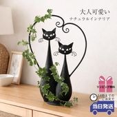 �ץ�󥿡� �����ǥ�ݥå� 2ɤ�Υͥ� 3��ȭ �⤵52cm�ä������ʥ���ƥꥢ��͢�����ߥ����ڸ������Ρ�