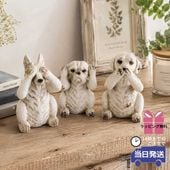 ��ʪ 3ɤ�Υ��� �����ʥ��� ���֥��� �⤵12cm�ä������ʥ���ƥꥢ��͢�����ߥ����ڸ������Ρ�