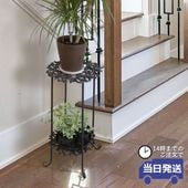 ���� �ץ��ȥ������ �⤵61cm 2�ʡä������ʥ���ƥꥢ��͢�����ߥ����ڸ������Ρ�