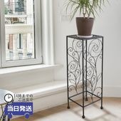 ���� �ץ��ȥ�����ɹ⤵65cm�ä������ʥ���ƥꥢ��͢�����ߥ����ڸ������Ρ�