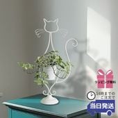 �ץ�󥿡� ȭ���С� �ͥ��ۥ磻�� 3��ȭ �⤵57cm�ä������ʥ���ƥꥢ��͢�����ߥ����ڸ������Ρ�