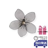 ����ƥꥢ�ɾ��� �� ������� ��20cm�߹⤵20cm�ä������ʥ���ƥꥢ��͢�����ߥ����ڸ������Ρ�