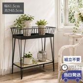 ���� 2�� ����ॹ����� ŷ�Ĺ⤵101cm�ä������ʥ���ƥꥢ��͢�����ߥ����ڸ������Ρ�