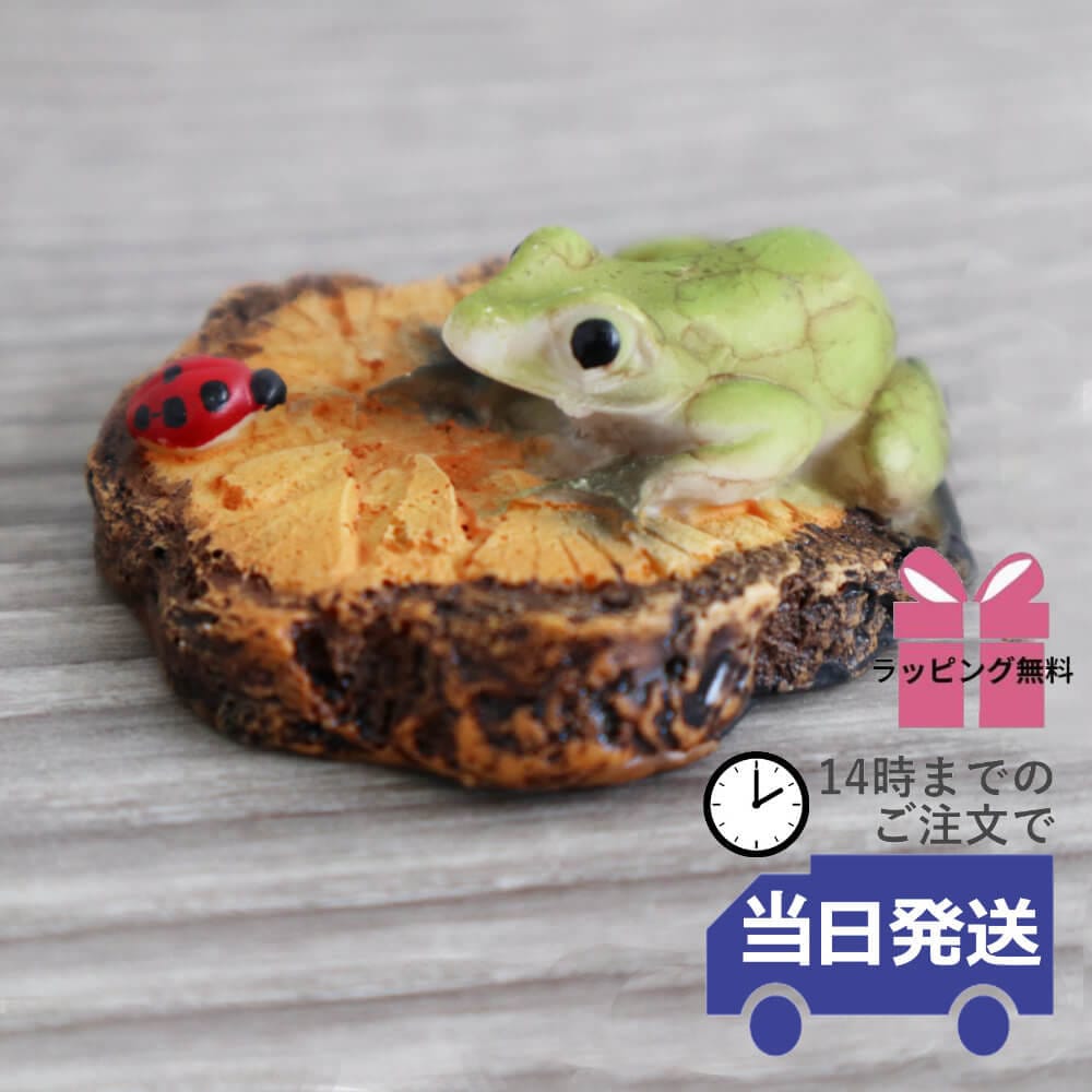 置物 カエル&てんとう虫 高さ2cm｜おしゃれなインテリアの輸入雑貨イエ