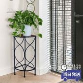 ���� �����ʡ��ե�������� �⤵56cm�ä������ʥ���ƥꥢ��͢�����ߥ����ڸ������Ρ�