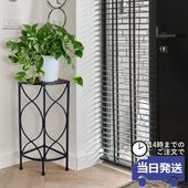  ʡե ⤵56cmäʥƥꥢ͢ߥڸΡ