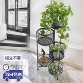 �ץ�󥿡�������� �����ǥ˥�ȭ���С� 4��ȭ�ä������ʥ���ƥꥢ���Τ�͢�����ߥ���