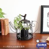 �ץ��ȥۥ���� �ƥ����ݥåȷ� LED�����ɥ�ۥ�����ä������ʥ���ƥꥢ��͢�����ߥ����ڸ������Ρ�