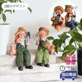 ��ʪ �����ǥ󥪡��ʥ��� ���ե� ��8�߹⤵10cm�ä������ʥ���ƥꥢ��͢�����ߥ����ڸ������Ρ�