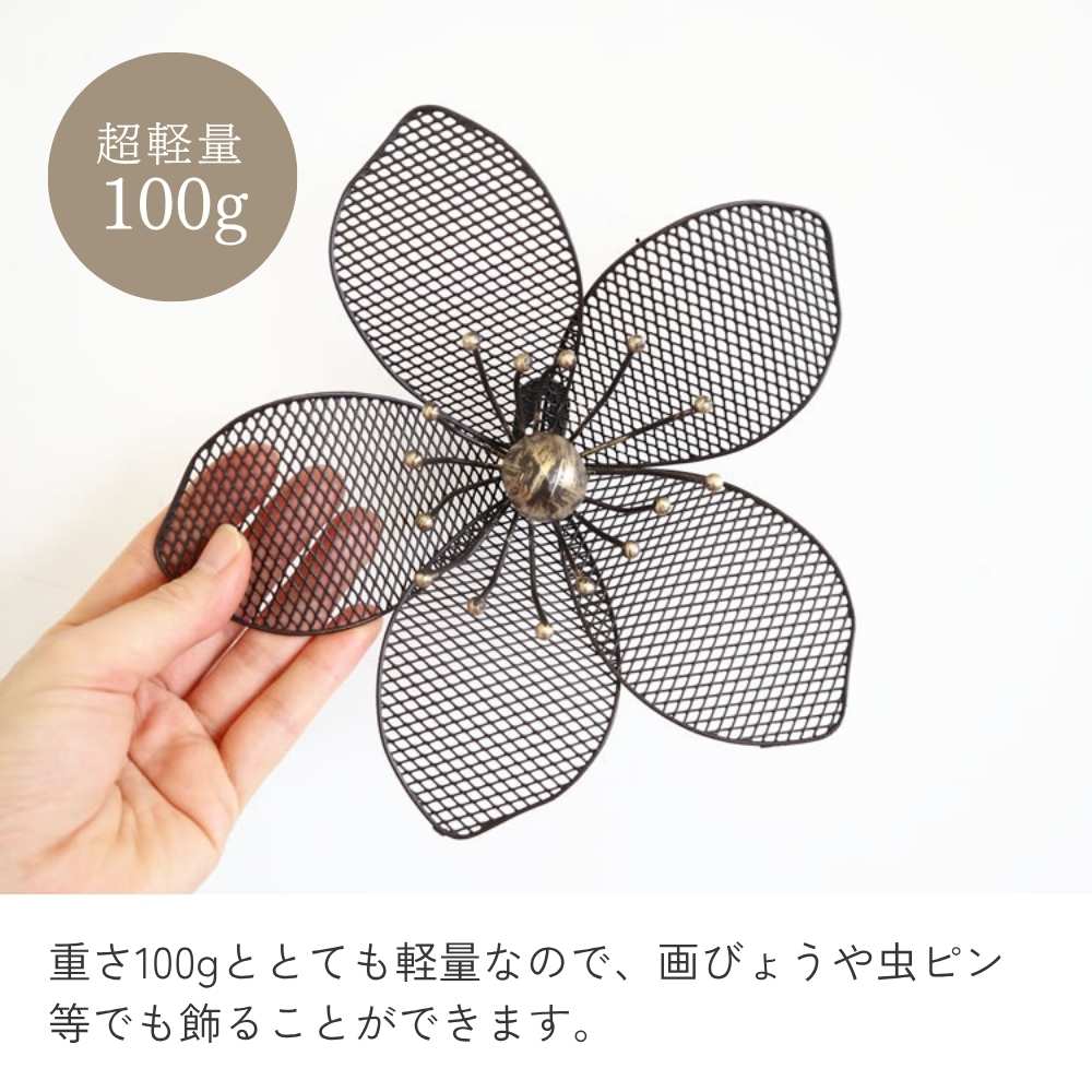 ����ƥꥢ�ɾ��� �� ������� ��20cm�߹⤵20cm�ä������ʥ���ƥꥢ��͢�����ߥ����ڸ������Ρ�