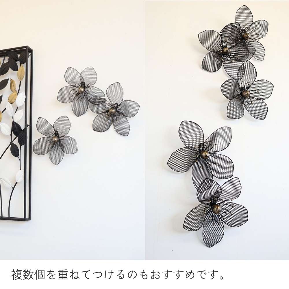 ����ƥꥢ�ɾ��� �� ������� ��20cm�߹⤵20cm�ä������ʥ���ƥꥢ��͢�����ߥ����ڸ������Ρ�