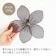 ����ƥꥢ�ɾ��� �� ������� ��20cm�߹⤵20cm�ä������ʥ���ƥꥢ��͢�����ߥ����ڸ������Ρ�