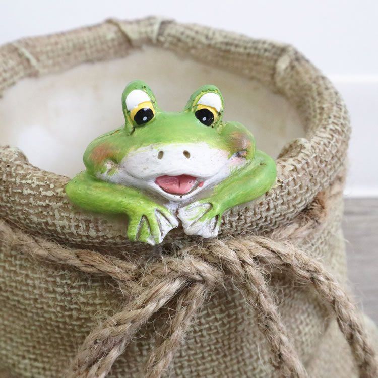 �ץ�󥿡� �����ǥ˥󥰥ݥå� 2.5��ȭ ������S�ä������ʥ���ƥꥢ��͢�����ߥ����ڸ������Ρ�