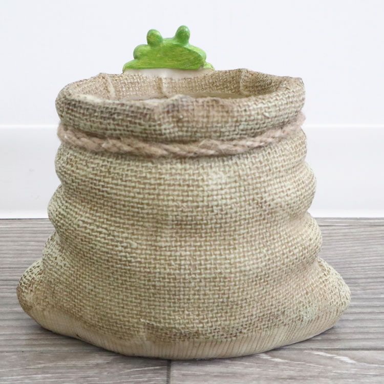 �ץ�󥿡� �����ǥ˥󥰥ݥå� 2.5��ȭ ������S�ä������ʥ���ƥꥢ��͢�����ߥ����ڸ������Ρ�