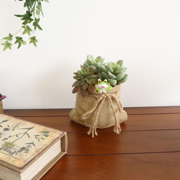 �ץ�󥿡� �����ǥ˥󥰥ݥå� 2.5��ȭ ������S�ä������ʥ���ƥꥢ��͢�����ߥ����ڸ������Ρ�