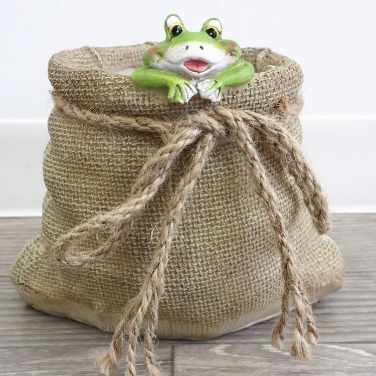 �ץ�󥿡� �����ǥ˥󥰥ݥå� 2.5��ȭ ������S�ä������ʥ���ƥꥢ��͢�����ߥ����ڸ������Ρ�