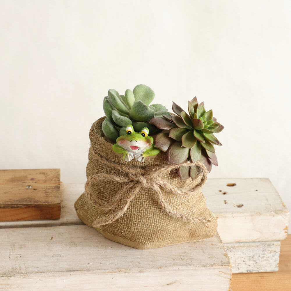 �ץ�󥿡� �����ǥ˥󥰥ݥå� 2.5��ȭ ������S�ä������ʥ���ƥꥢ��͢�����ߥ����ڸ������Ρ�